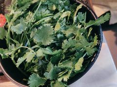 -辣伍鲜毛肚老火锅(元一店)