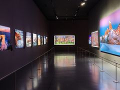 -罗红摄影艺术馆