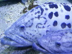 -石林冰雪海洋世界