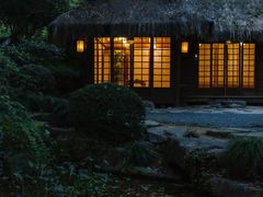 -中国茶叶博物馆(双峰馆区)