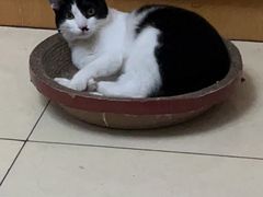 -美联众合24小时·皮肤科·外科·全科诊疗中心(华苑分院)