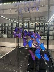 -酷嗒动物文化乐园(cutezoo西溪乐天城店)