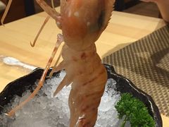 -菊上日式料理(蚌埠银泰店)
