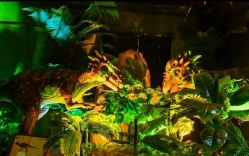 -恐龙探索乐园(磁器口店)