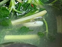 -小杨翘脚牛肉