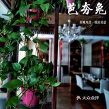 这什么神仙味道？？｜无辣不欢的四川人，居然被这汤锅征服了‼️