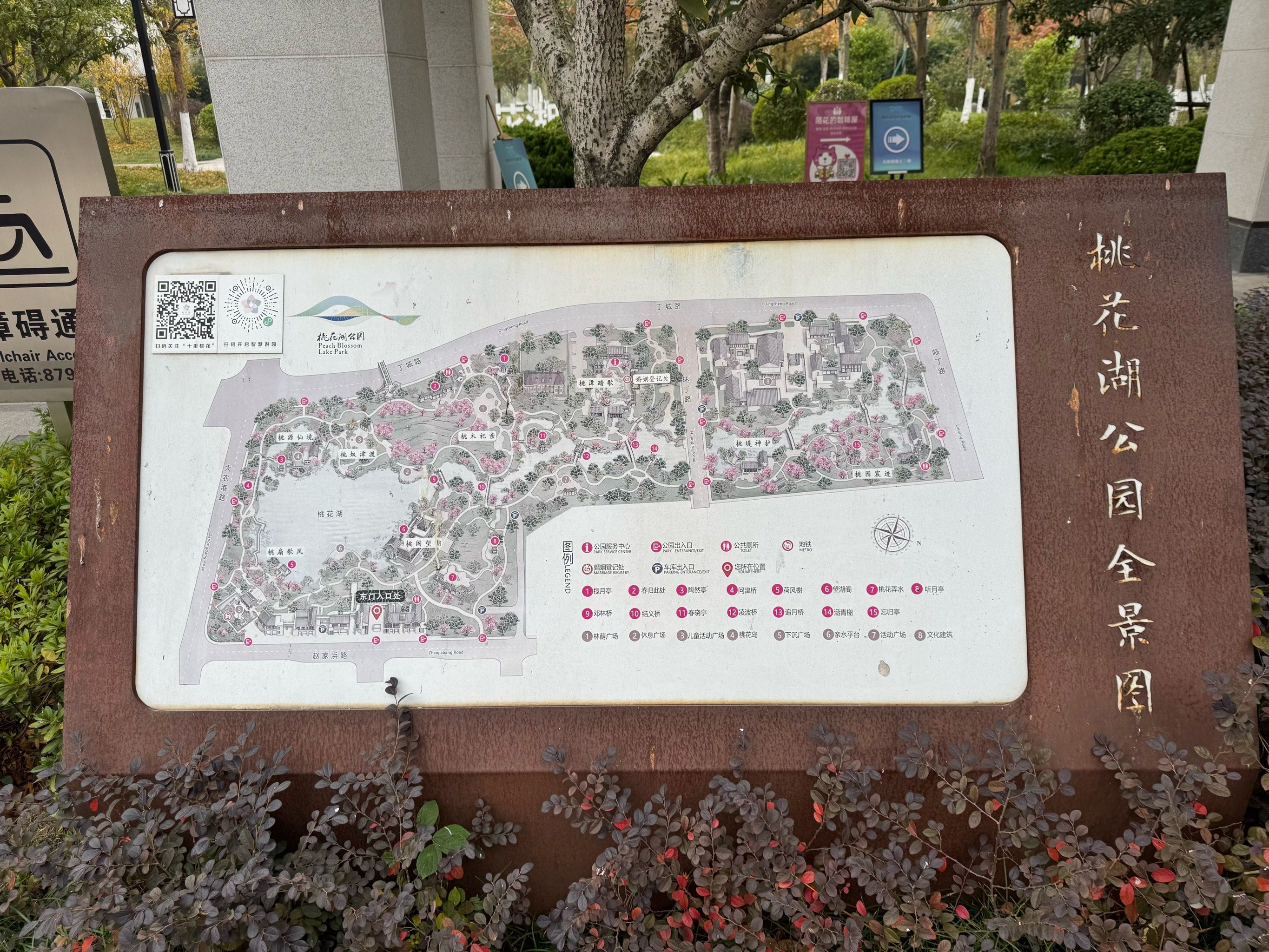 公园中的露营,欢聚的周末