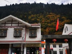-绵阳饭店