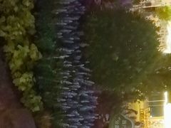 -南宁南湖公园