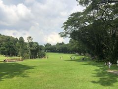 -新加坡总统府