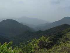 -大岭沟猕猴桃谷风景区