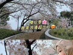 -杭州少年儿童公园