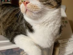 -铭修苹果华为手机平板维修服务(杨浦区店)