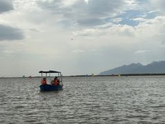 -哈素海