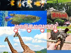 -南昌动物园