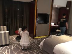 -常州环球恐龙城维景国际大酒店
