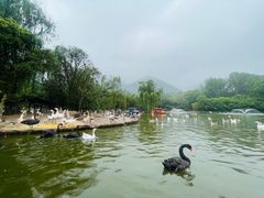 -西安秦岭野生动物园