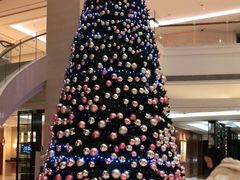 -新发展亚太JW万豪酒店·福苑咖啡厅