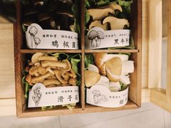 山野菌菇四宫格-椰子湾·海南火锅(正大广场店)