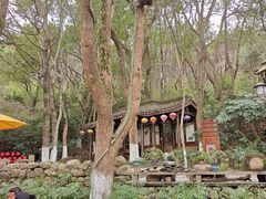 -天目湖山水园