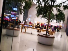 -Apple零售店(济南恒隆广场店)