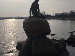 -美人鱼
