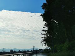 -深圳湾公园(南山区)
