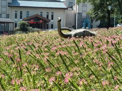 -宝晶宫旅游景区