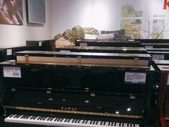 -柏斯音乐艺术中心·钢琴·吉他(世纪金源店)