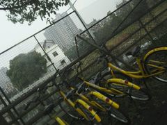 -同济大学(嘉定校区)