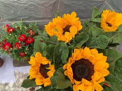 -桂林市花鸟市场