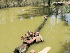 -宁波杭州湾国家湿地公园