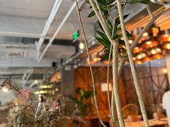 -the rug 飞毯 (朝阳公园店)
