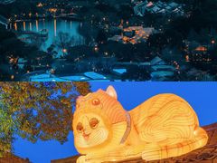 -乌镇东栅景区