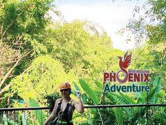 -清迈丛林飞跃 JungleFlight