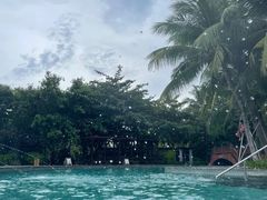 -海南清水湾莱佛士酒店