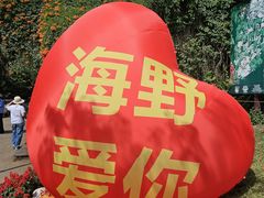 -海南热带野生动植物园