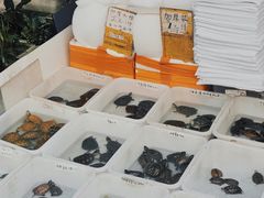 -清平路水族市场