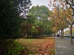 -华东师范大学第二附属中学(张江校区)