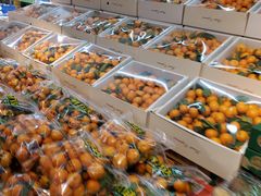 -鲜力达果品批发直销(青山店)