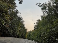 -西安汉城湖景区