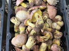 -双喜农庄·菌香园(安居家园店)