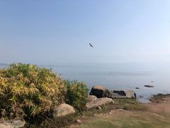 -西昌邛海湾柏樾酒店(原邛海湾柏栎度假酒店)
