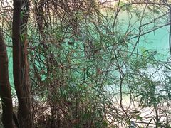 -广州市流溪河国家森林公园