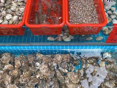 -广东惠东海龟国家级自然保护区