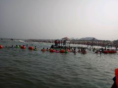 -刘家湾赶海园