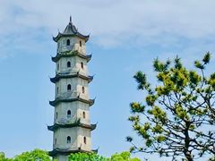 -江心屿景区