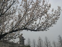 -南京师范大学仙林校区图书馆