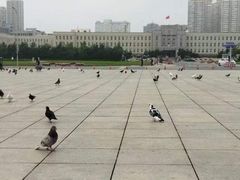 -大连人民广场