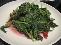 清炒红苋菜-金谷仓家庭料理(马泉营店)